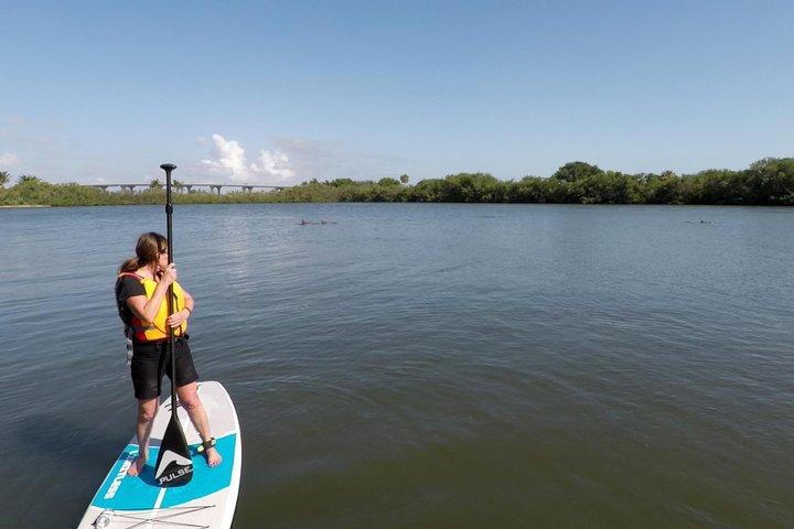 Round Island Kayak & Paddle Board Tour
