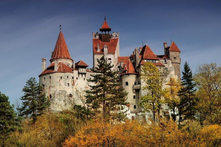 Bärenheiligtum, Schloss Bran (Dracula), Peles Schloss Von Brasov