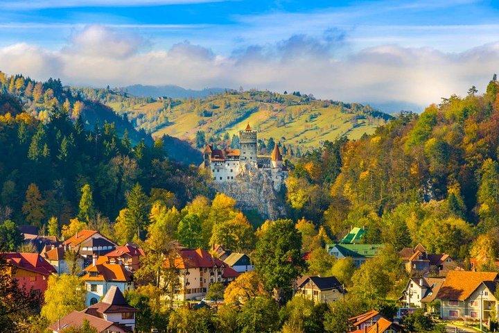 Bärenheiligtum, Schloss Bran (Dracula), Peles Schloss Von Brasov