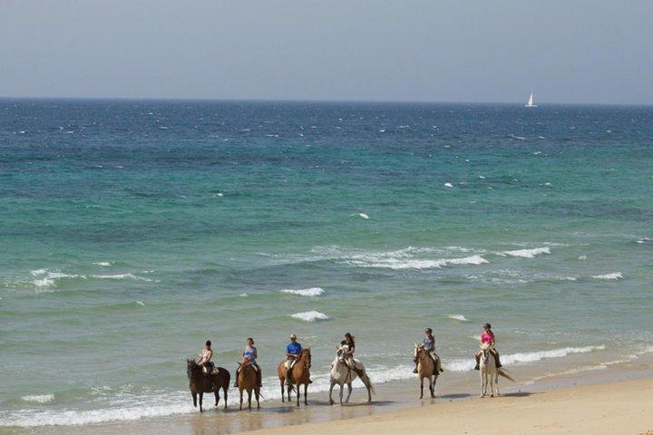 Reiten am Strand oder in den Bergen in Tarifa, Spanien - 1 bis 2 Std