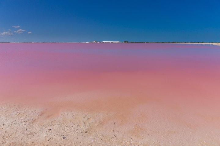 Hoteller i nærheden af Cenote Ik Kil, Rio Lagartos & Las Coloradas