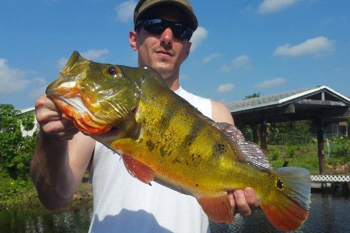 Påfuglbas fisketur i Boynton Beach
