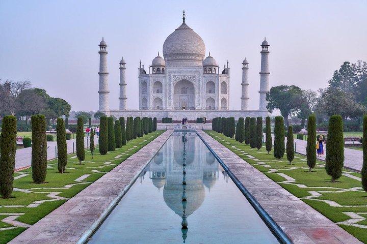Excursion d'une journée au lever du soleil Taj Mahal et Agra au départ de Jaipur