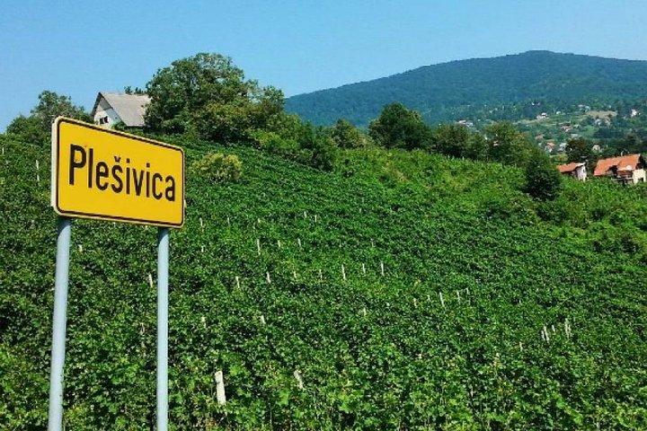 Plesivica Region Vinprovning Halvdagstur