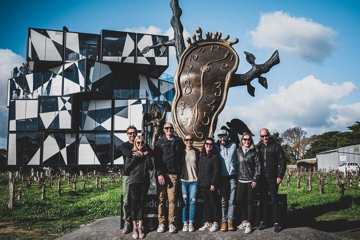 Det bedste ved McLaren Vale: E-cykel- og vintur (2 muligheder tilgængelige)