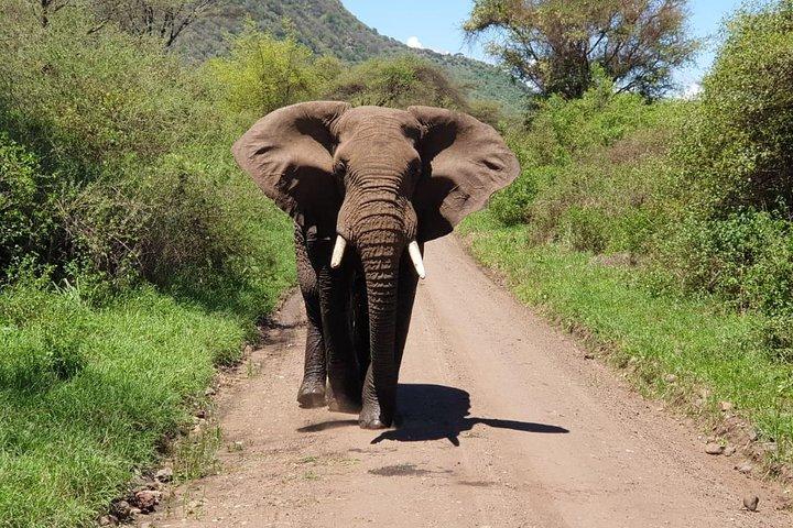 4 Días Tarangire / Serengeti / Ngorongoro & Manyara