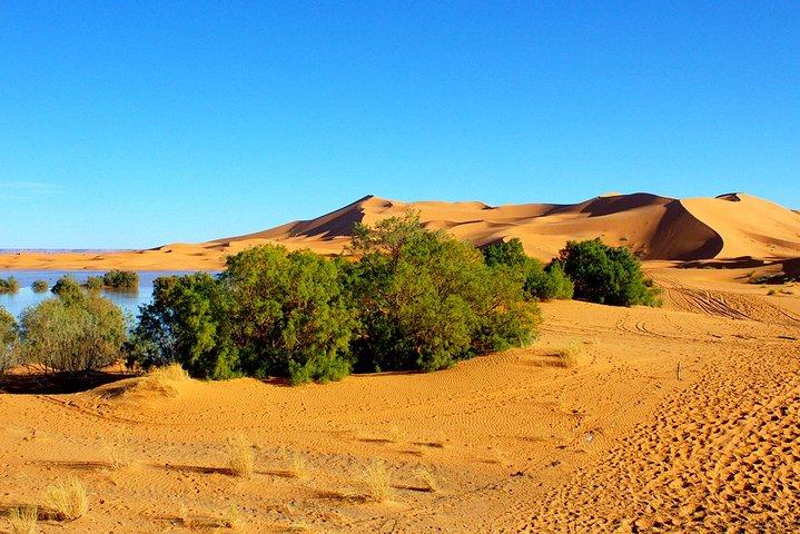 2 dagars tur från Marrakech till Merzouga Sahara-öknen
