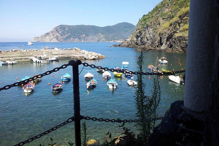 Visite privée des Cinque Terre en minibus et excursion en ferry le long de la côte au départ de Livourne
