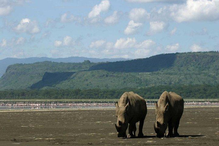 3日間のツァボイーストおよびツァボウェスト国立公園