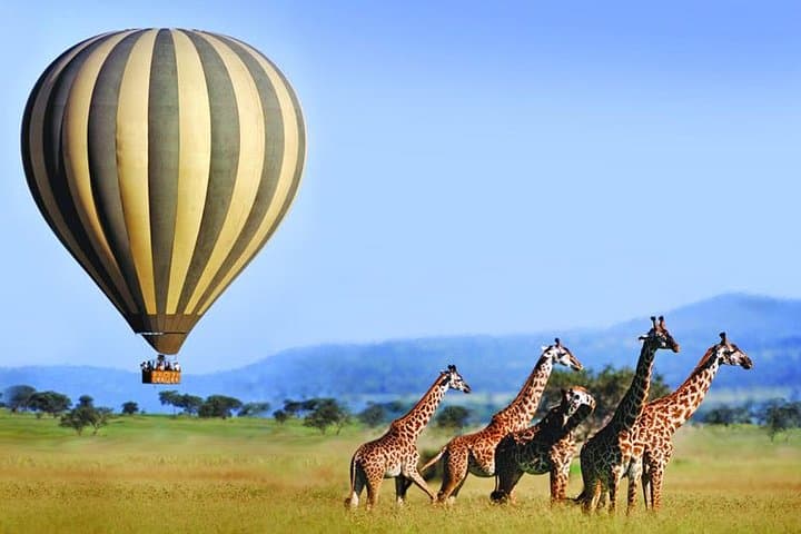 3 Days Masai Mara Balloon Safari in Kenya