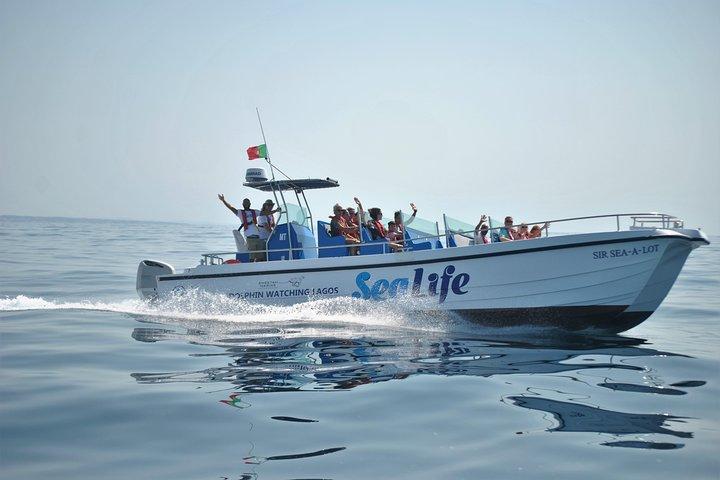 Sealife Zeesafari, dolfijnen spotten met Marine Biologist's Lagos