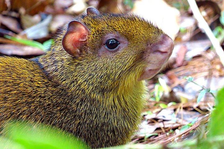 La Tigra nationalpark