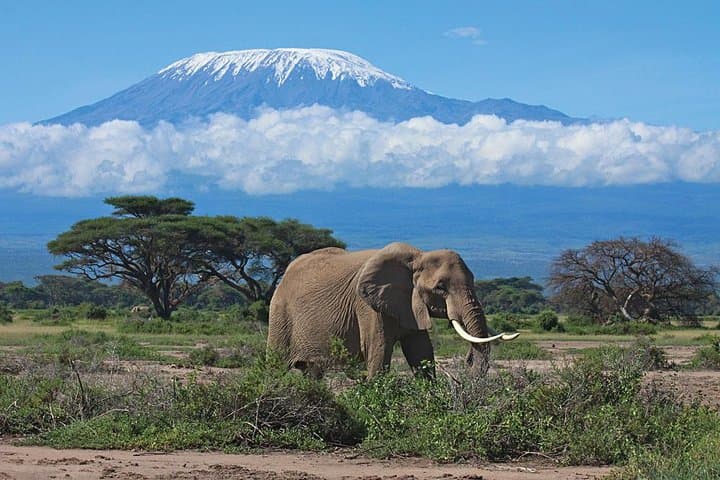 2 Days Amboseli National Park Budget Safari