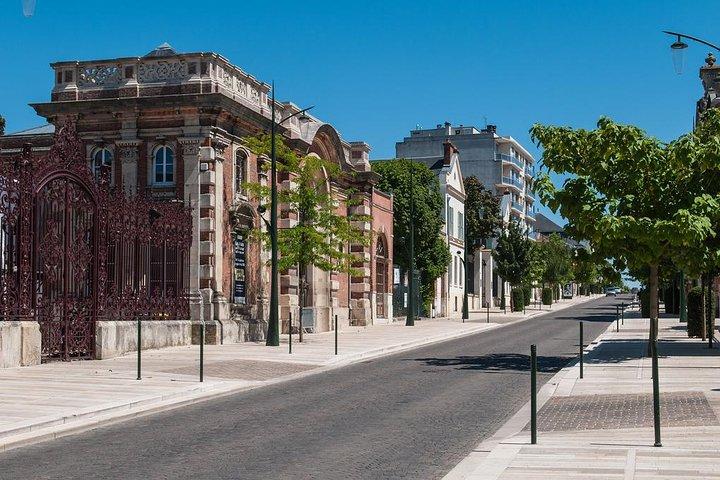 Tour privato dello champagne e Reims da Parigi con prelievo dall'hotel