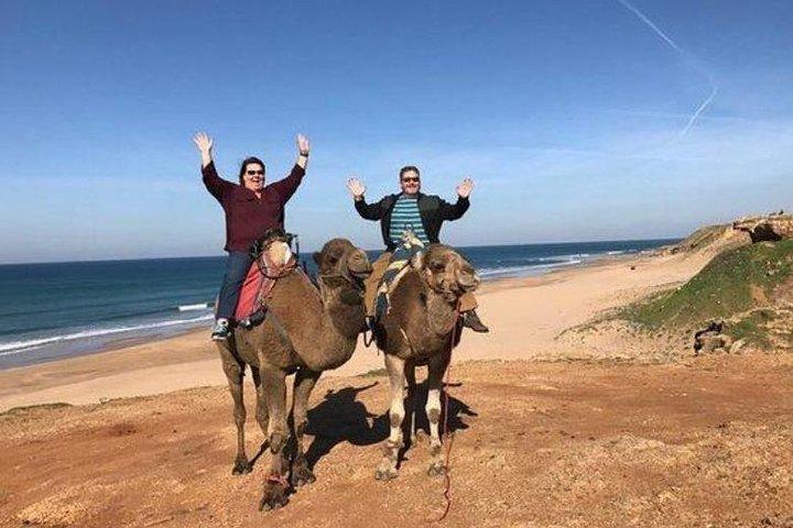 Gita giornaliera privata a Tangeri da Casablanca in treno ad alta velocità