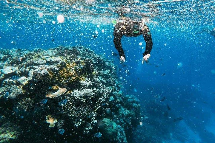 4 日 3 泊シャルム エル シェイク、ダハブ、カイロから聖カタリナ修道院