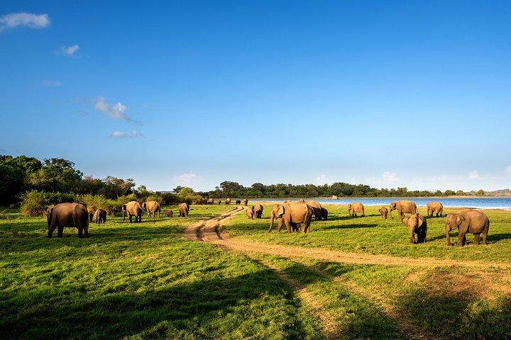Naturens bedste (15 dage)