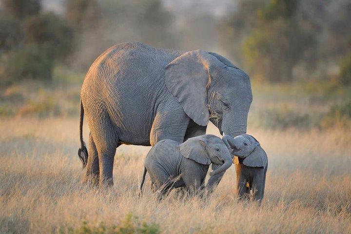 Private 9 Days Kenya Classic Lodge Safari