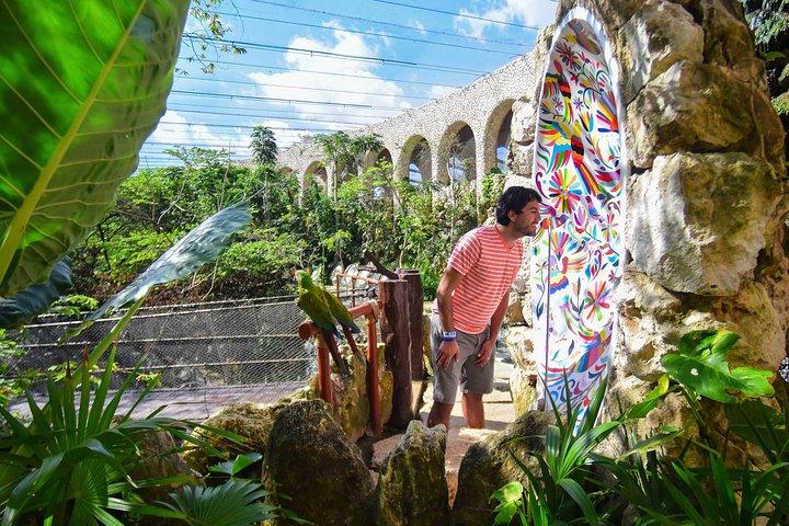 Xcaret Park Plus With Round Transportation From Cancun & Riviera Maya