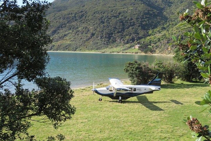 Voo Experimente nosso passeio panorâmico de água e selvas