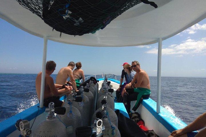 Gita in barca di un'intera giornata allo snorkeling dell'isola di Menjangan