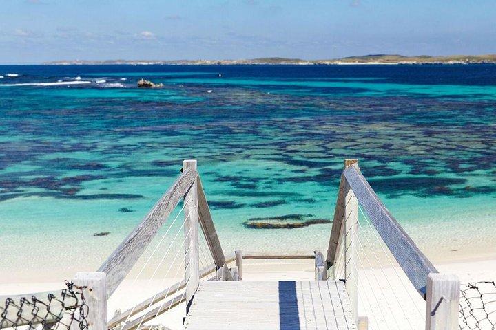 Excursion d'une journée à Bayseeker sur l'île Rottnest au départ de Perth