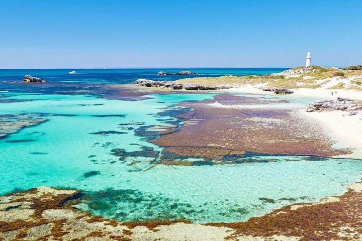 Excursion d'une journée à Bayseeker sur l'île Rottnest au départ de Perth