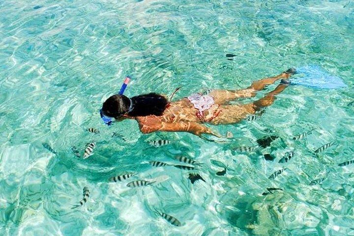 Maya Bay, Money Beach, Phi Phi Khai Island-tur med hurtigbåd