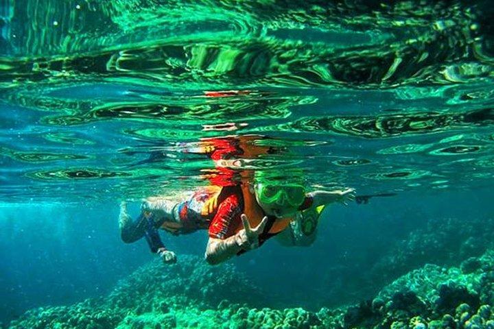 Maya Bay, Money Beach, Phi Phi Khai Island-tur med hurtigbåd