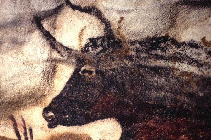 Visite privée de Bordeaux à Lascaux et à la vallée de la Dordogne