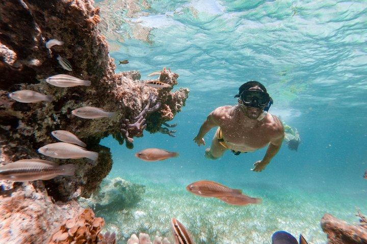 Marinarium Snorkeling Cruise da Punta Cana