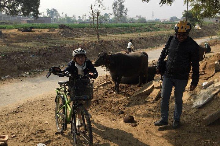 Dicover Agra On a Bicycle
