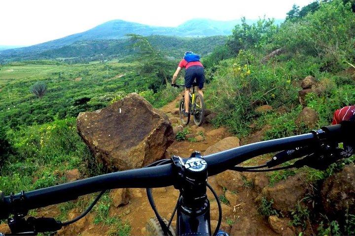 11 jours de safari incroyable au Kenya