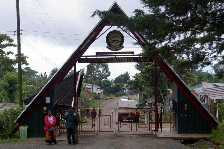 1-daagse Kilimanjaro-tocht via Marangu-route