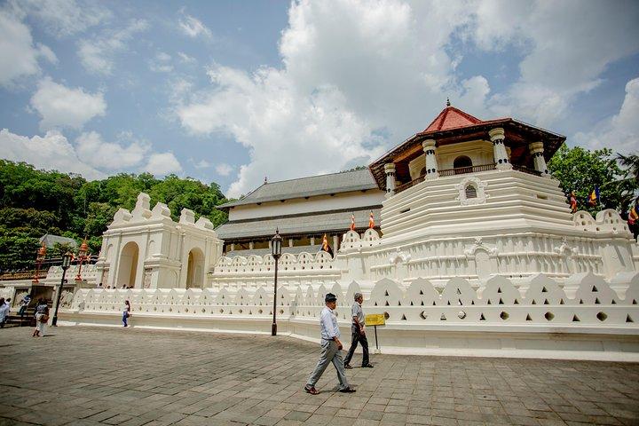 Kandy City Day Tour avec un guide certifié