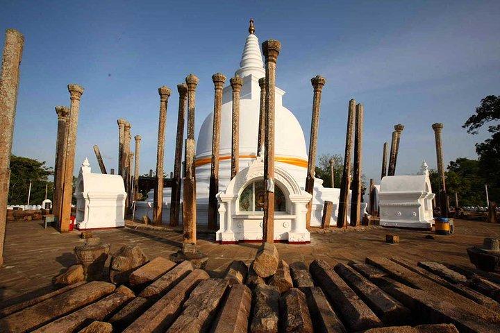 Aukana & Ancient Kingdom Anuradhapura-Tagestour ab Kandy