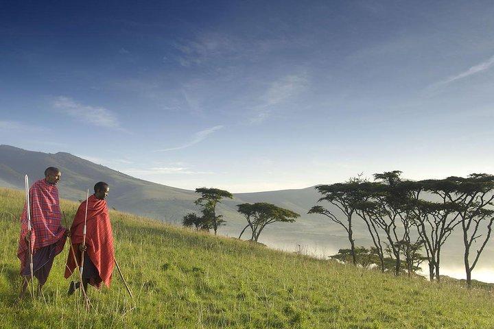 Prisbillig kort Tanzania Safari (2-dages camping safari)