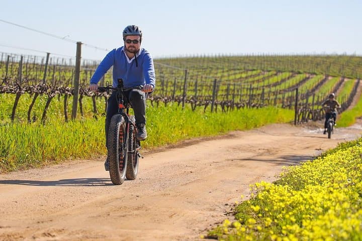 Cape Town: E-bike Wineland tour half-day