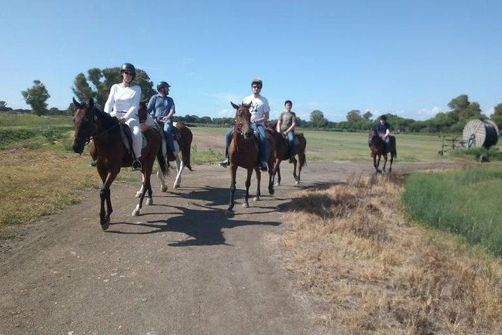 Roma : Paseos a caballo con comidas y vino incluido