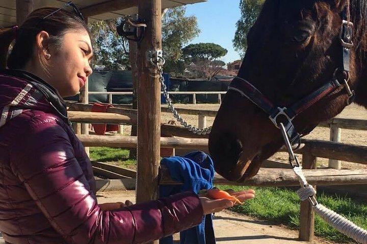 Roma : Paseos a caballo con comidas y vino incluido