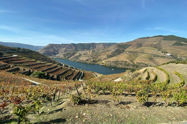 Vale do Douro e Porto de Lisboa - Prova de vinhos e queijos