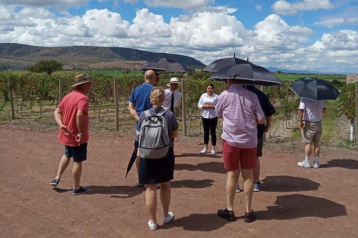 地元のブドウ園ツアーと独立渓谷でのワインテイスティング