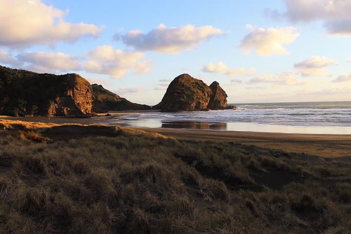 Private Auckland's West Coast - Piha/ Muriwai - Wild West Tour