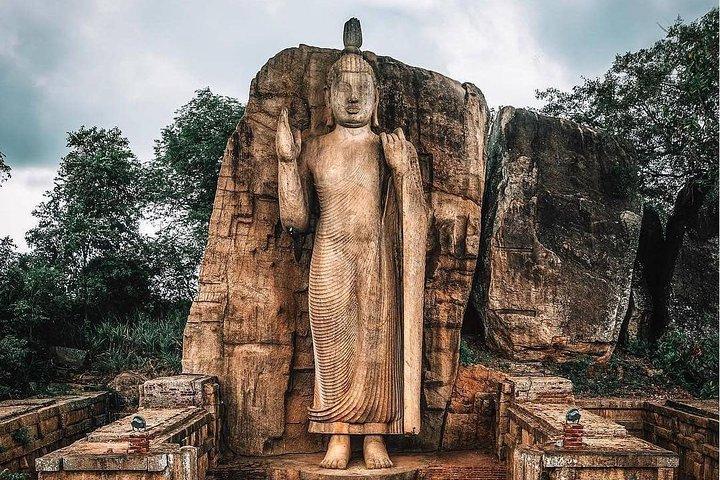 Aukana & Ancient Kingdom Anuradhapura-Tagestour ab Kandy