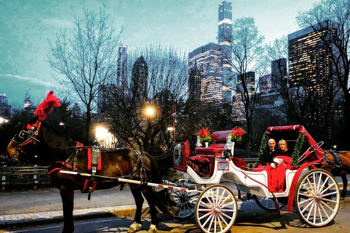 VIP Horse Carriage Ride through Central Park (Up to 4 Adults)