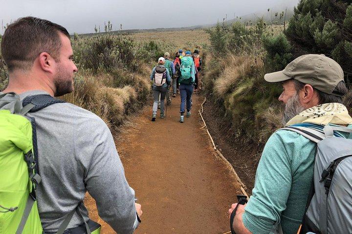 Kilimanjaro: Marangu Route