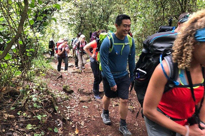 Kilimanjaro: Marangu Route