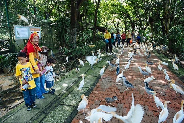 Kuala Lumpur Bird Park & Butterfly Farm Tour