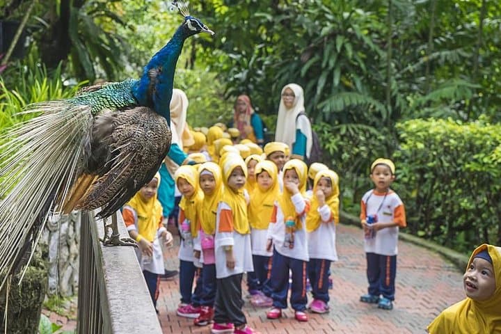 Kuala Lumpur Bird Park & Butterfly Farm Tour