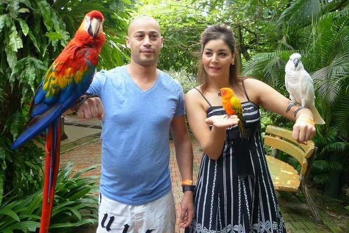 Kuala Lumpur Bird Park, Butterfly Farm And Taman Orkid Include All Entrance